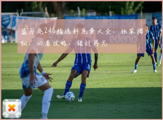蓝月亮246精选料免费大全，独家揭秘，必看攻略，错过再无