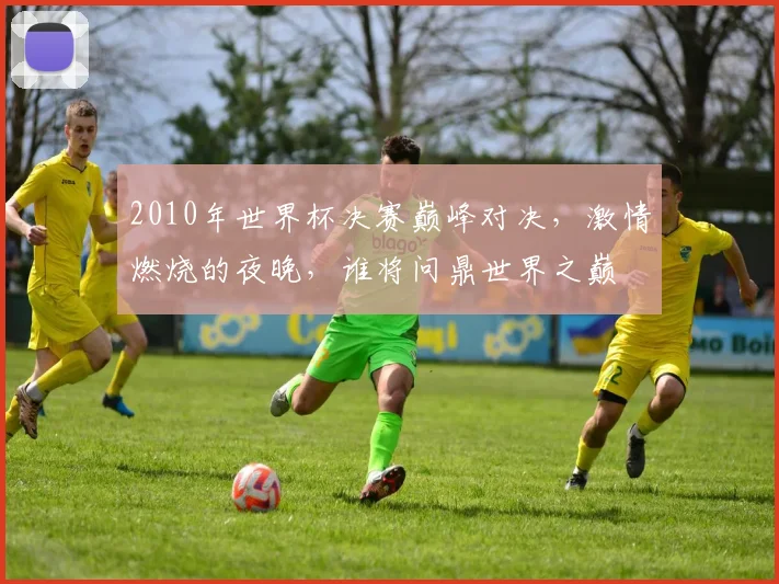 2010年世界杯决赛巅峰对决，激情燃烧的夜晚，谁将问鼎世界之巅